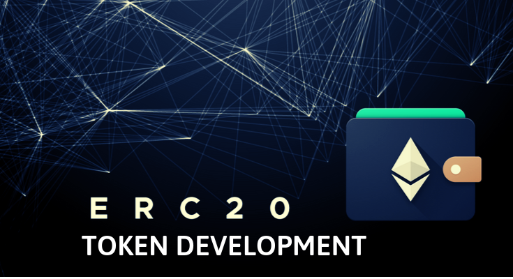 How to Develop the ERC20 Token Web Wallet