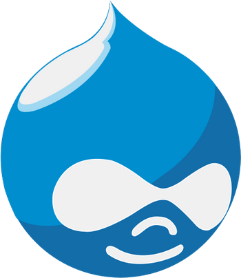 Drupal Web Development Company
